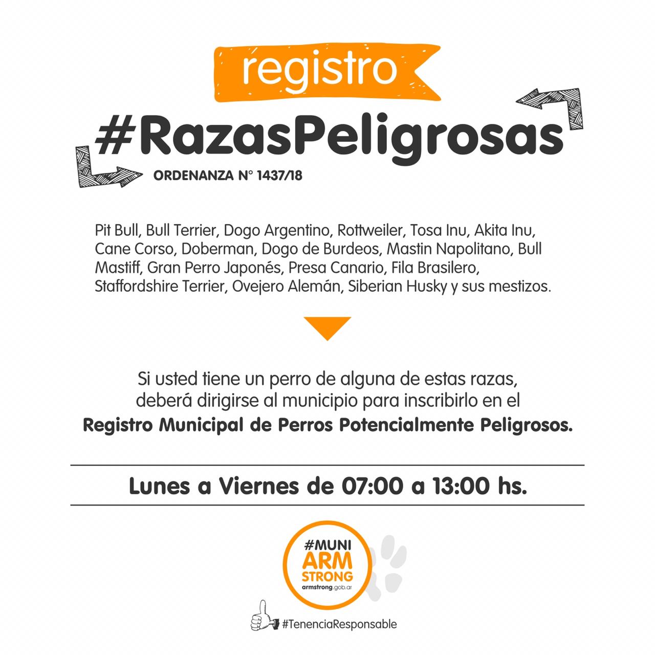 placa registro