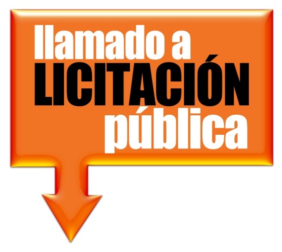 licitacion pública