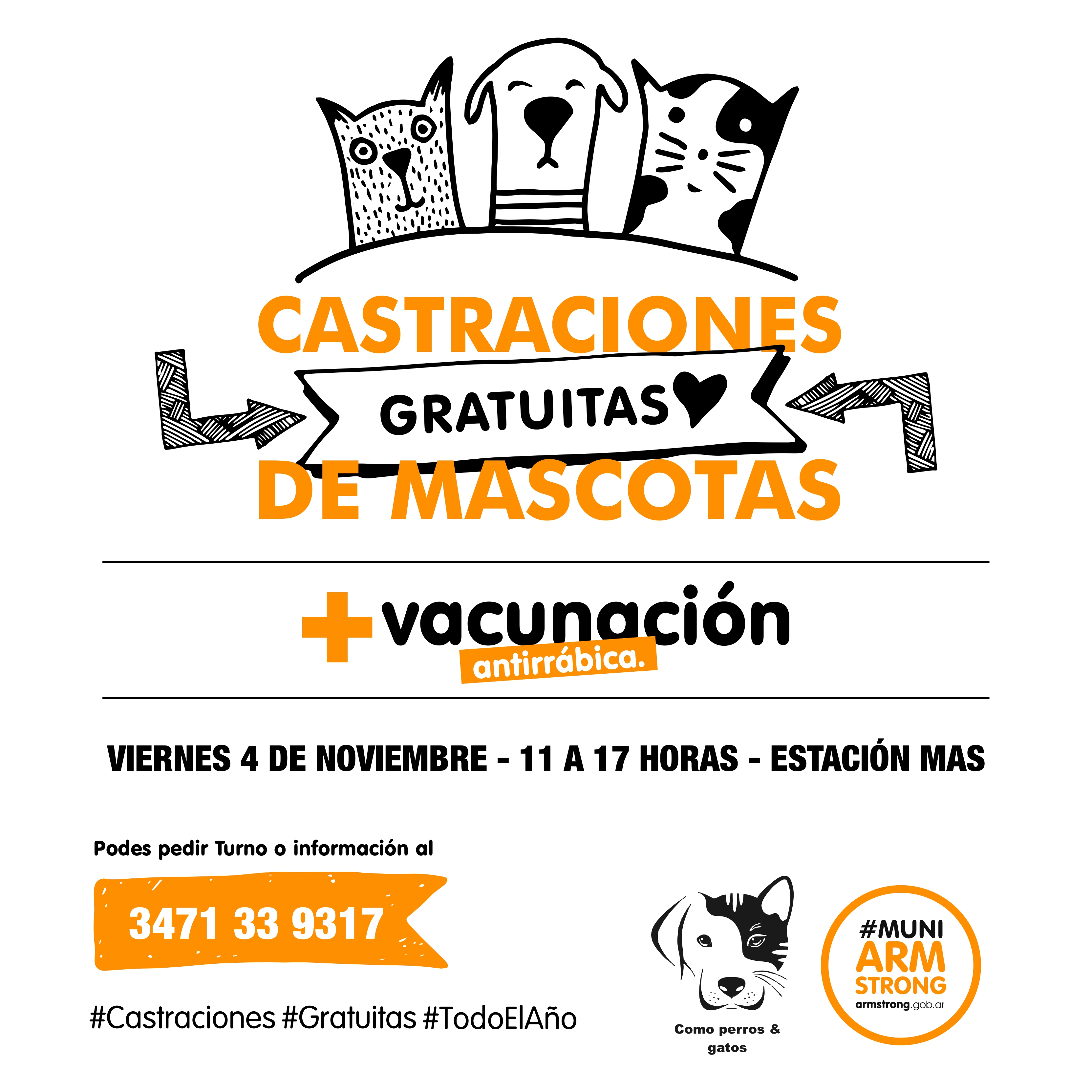 CASTRACIONES Y VACUNACION NOV 2022