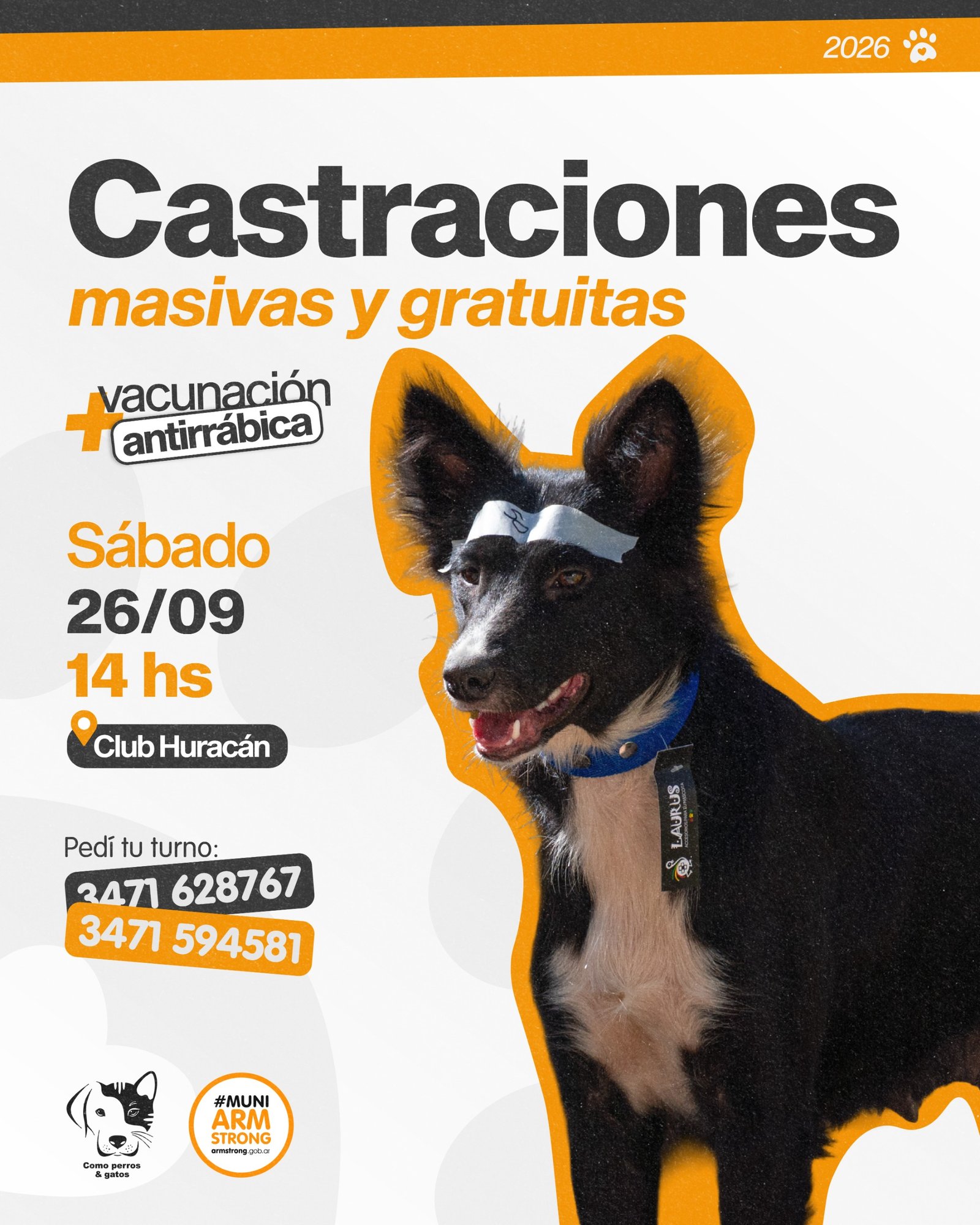 Castraciones y vacunación, el 26 de septiembre