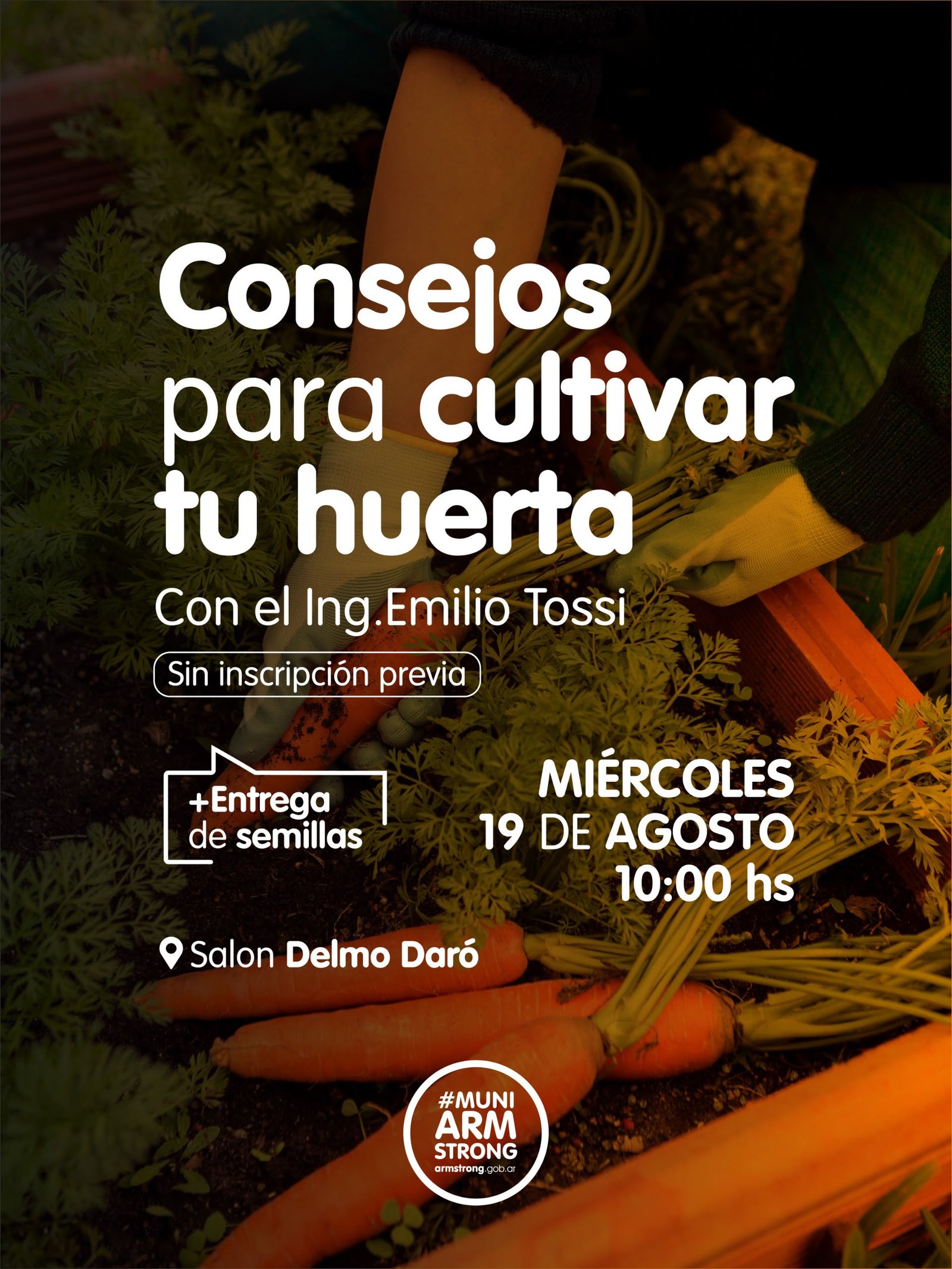 Huerta en casa